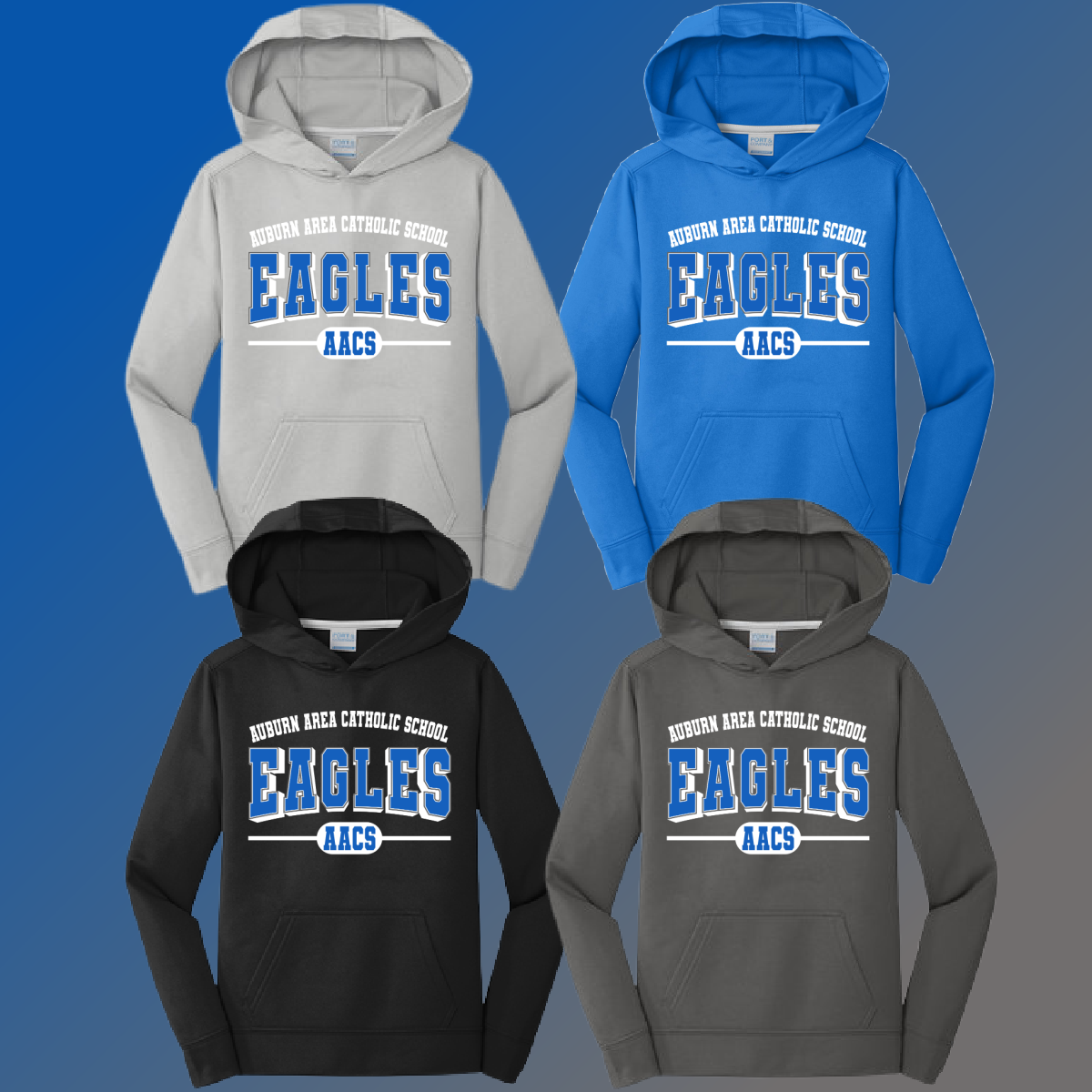 AACS Eagle - Varsity Mascot Performance Hoodie
