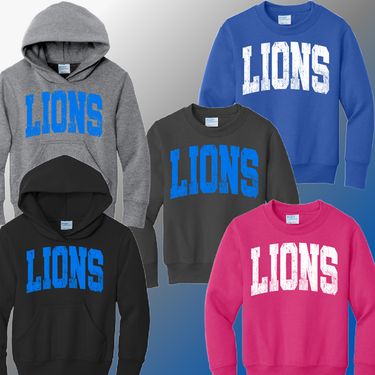 Detroit Football Distressed - Youth Sweatshirt