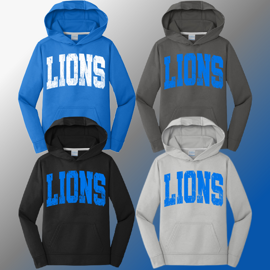 Detroit Football Distressed - Youth Performance Hoodie